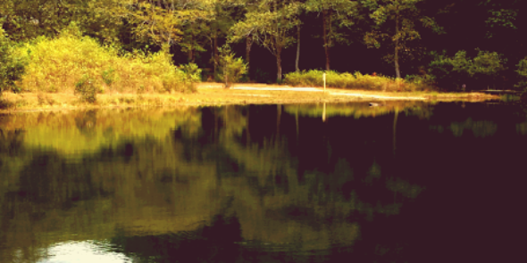 natakins95's profile banner image