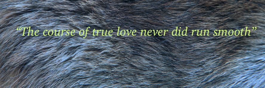 amsnd2014's profile banner image