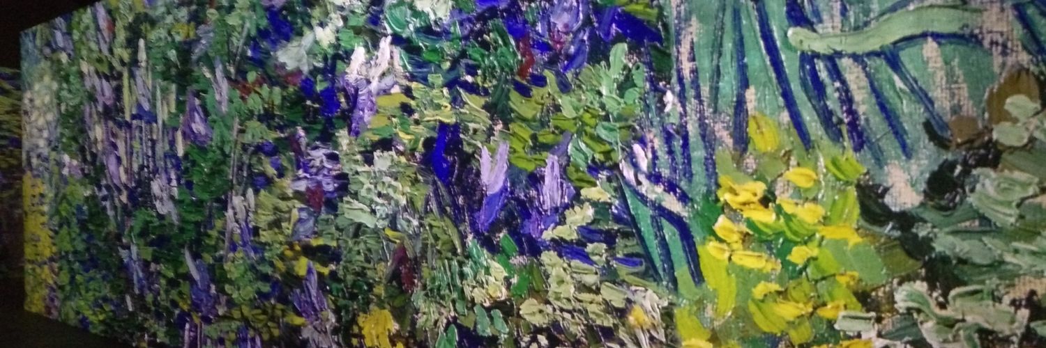Riantsoa_'s profile banner image