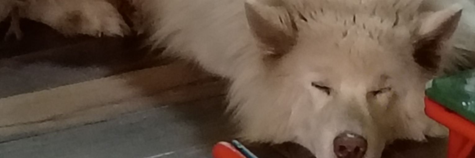ThatChecksOut's profile banner image