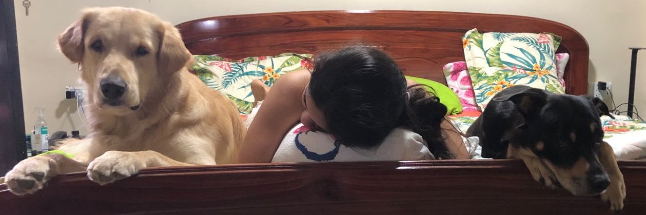 nicoleegdm's profile banner image
