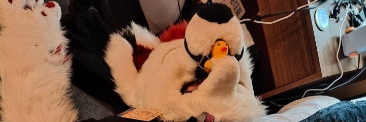 Turismocoon's profile banner image