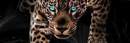 arnoldyves2's profile banner image