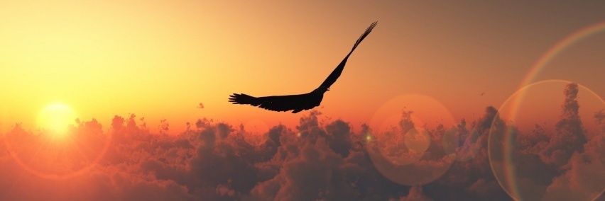 crystallisz's profile banner image