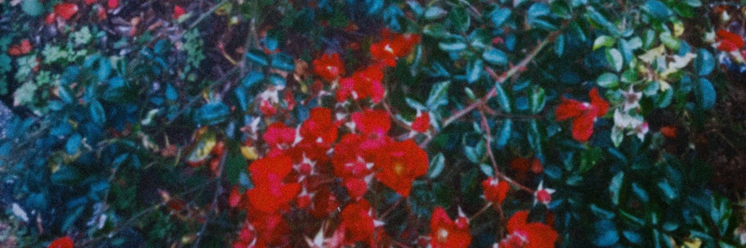 c_iloux's profile banner image