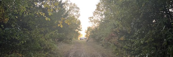 erchicdoc Profile Banner