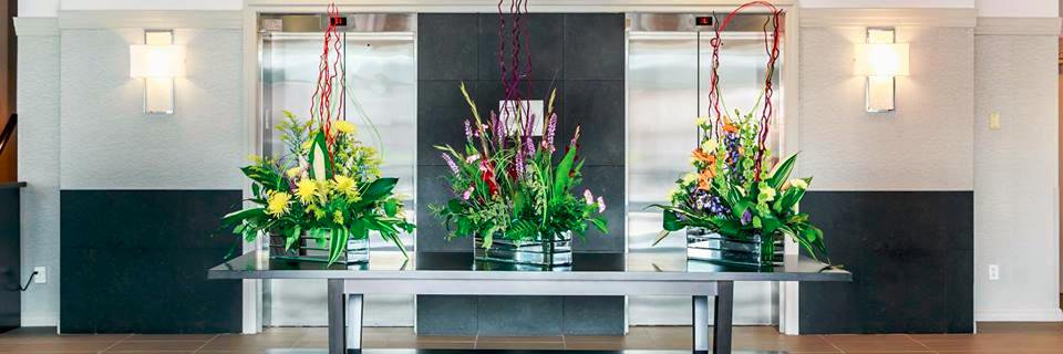 RadissonKW's profile banner image