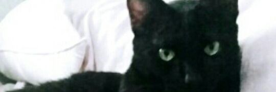Mel1sandree's profile banner image
