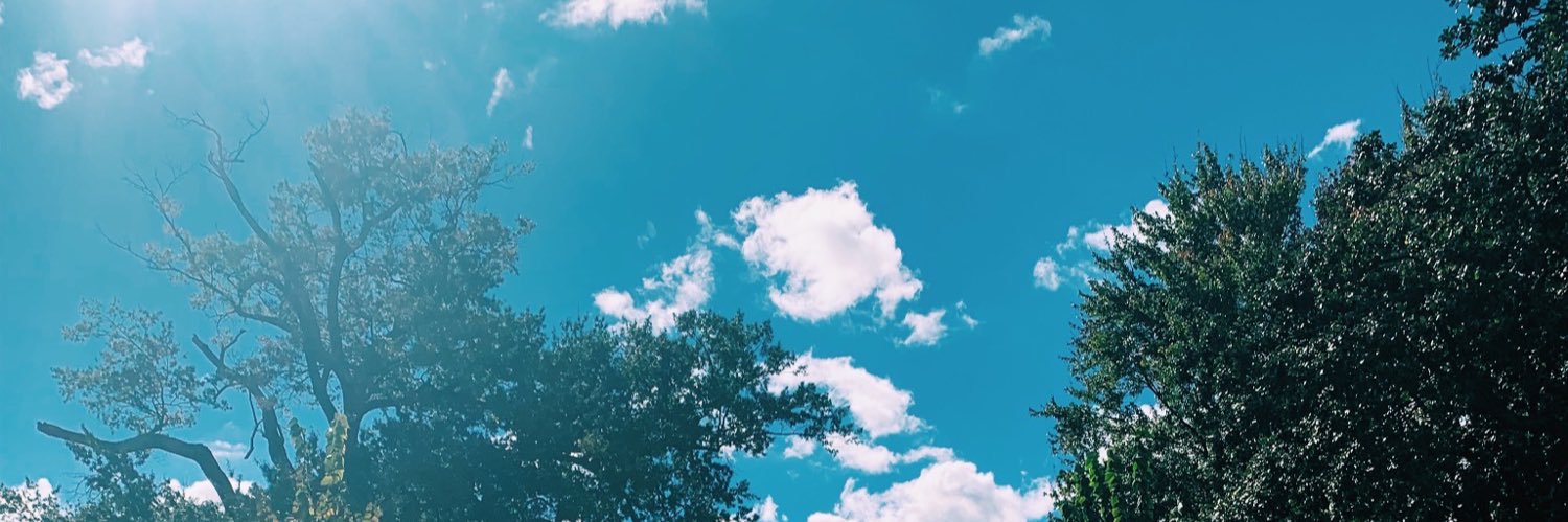 assityy's profile banner image