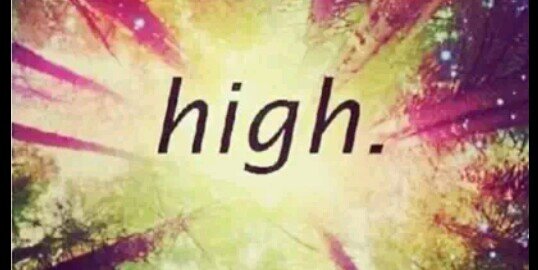 _PURPleflowers_'s profile banner image