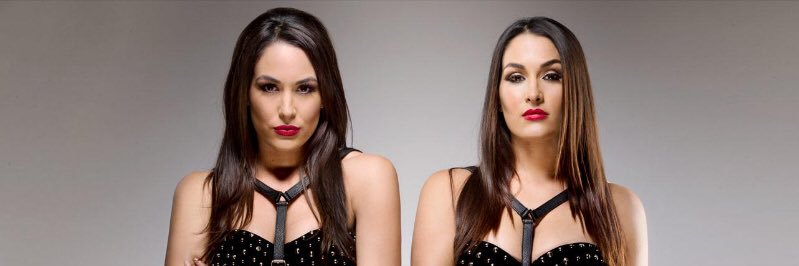 thebellalution's profile banner image