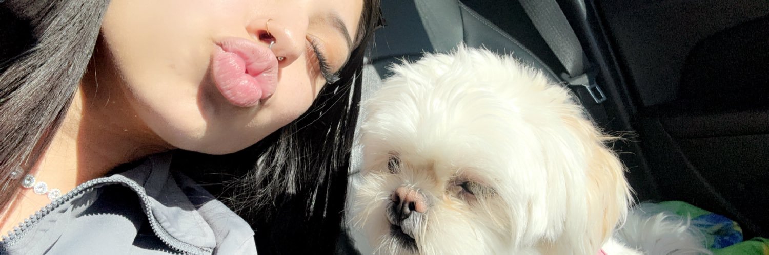 MitzyVXO's profile banner image