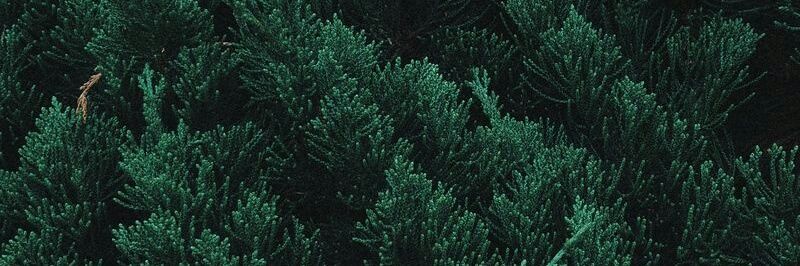 A_Link57's profile banner image