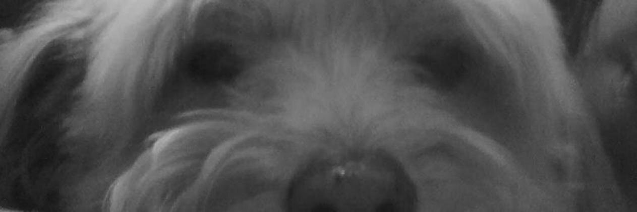 357_laura's profile banner image