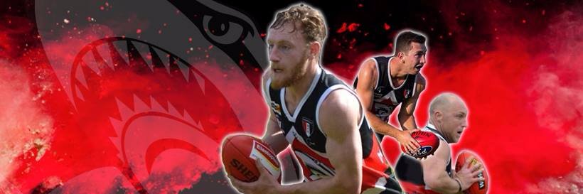 Bonbeach Sharks FNC banner