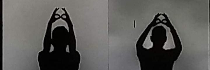 LuxDiFeuer's profile banner image