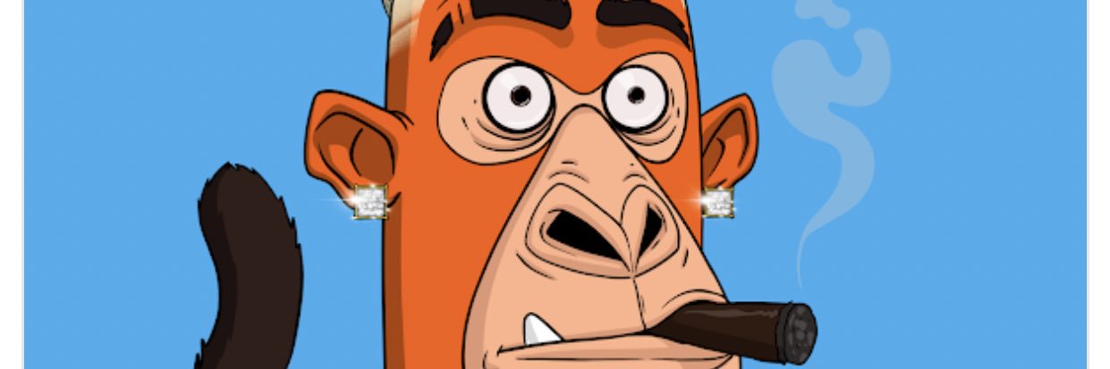 nattys__'s profile banner image