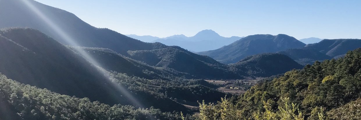 ocampo_38's profile banner image