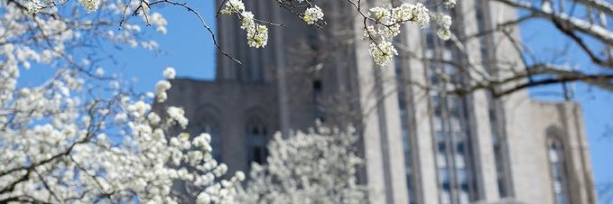 Manasseh Osei banner