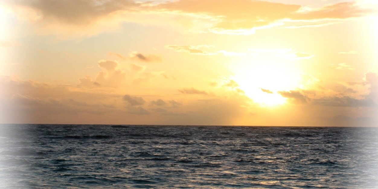 KellyFinneran1's profile banner image