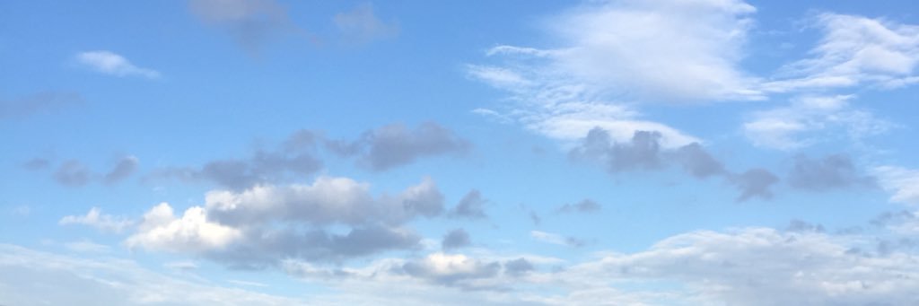 majulia99's profile banner image