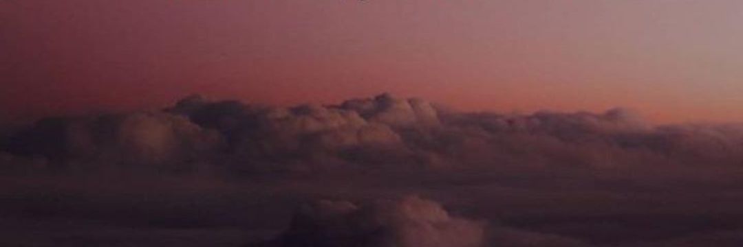 mlaucasco's profile banner image