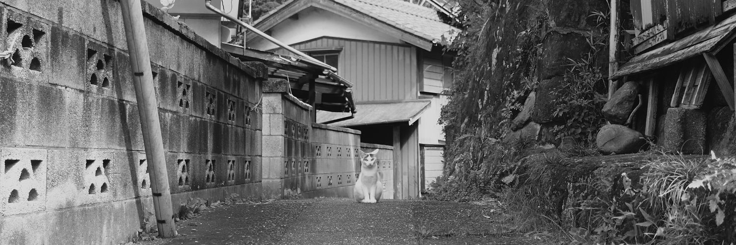 G.kondo(ゲッコウ)'s banner