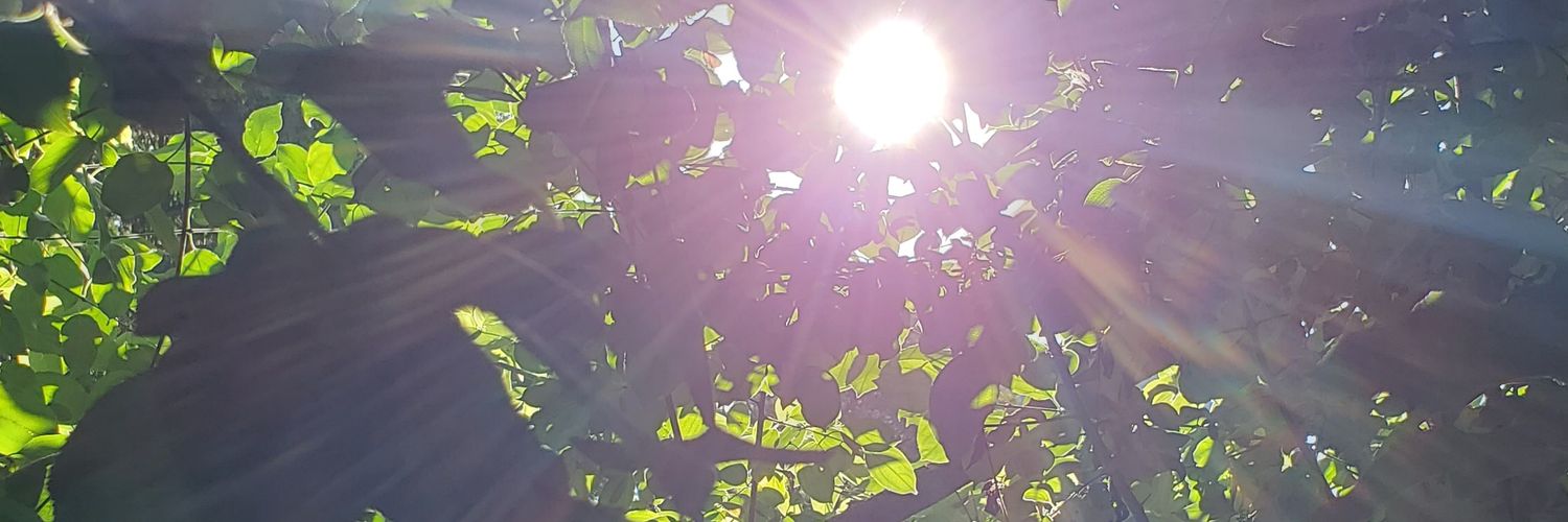 BriannaMac_'s profile banner image