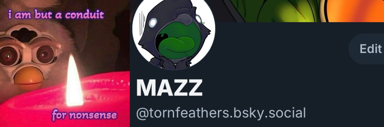 Tornfeathers's profile banner image