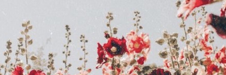 baileyatipton's profile banner image
