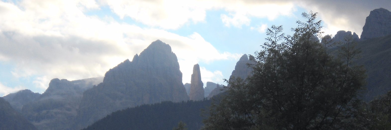 Mario Tedeschini-Lal banner