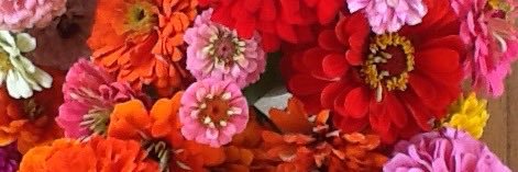 Allthingsbarb's profile banner image