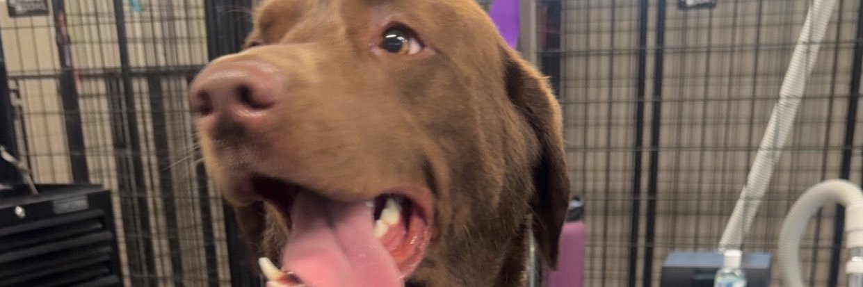 BootlandMak's profile banner image
