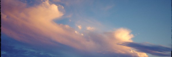 kebab99209873 Profile Banner