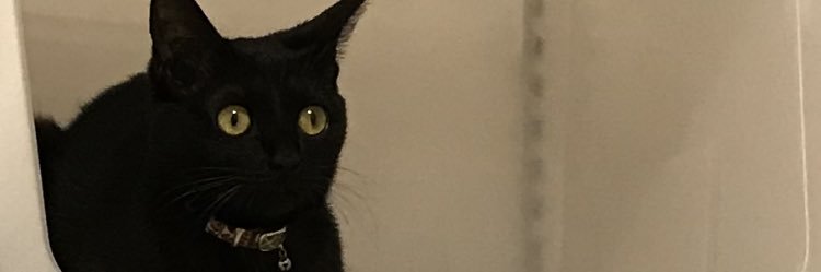 tsmnan's profile banner image