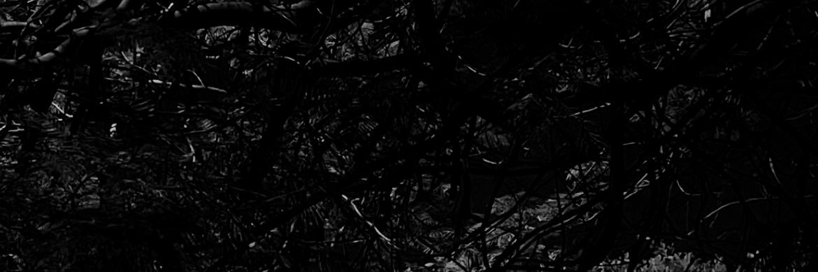 riixi0's profile banner image
