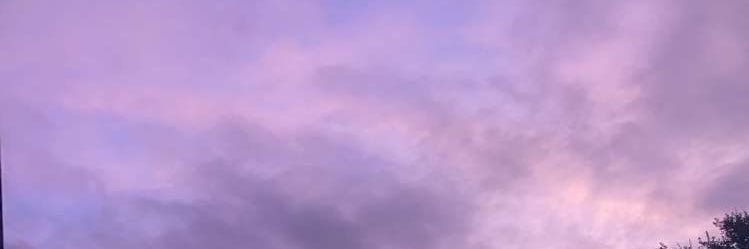 qullis's profile banner image