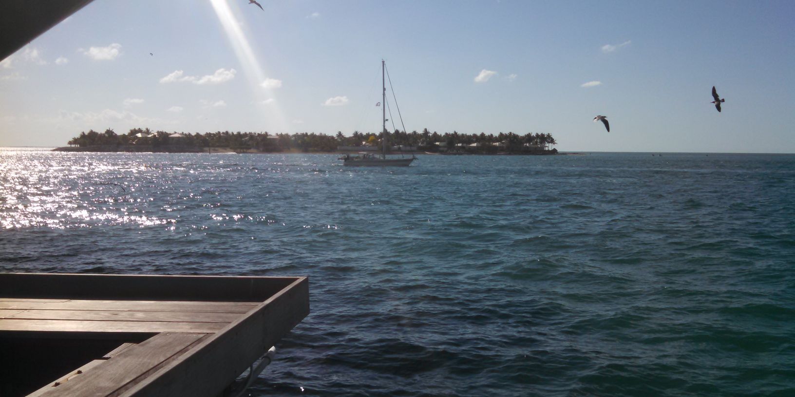 Clint Sanchez banner