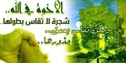 billion1Arabic's profile banner image