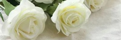 gbrllvln's profile banner image