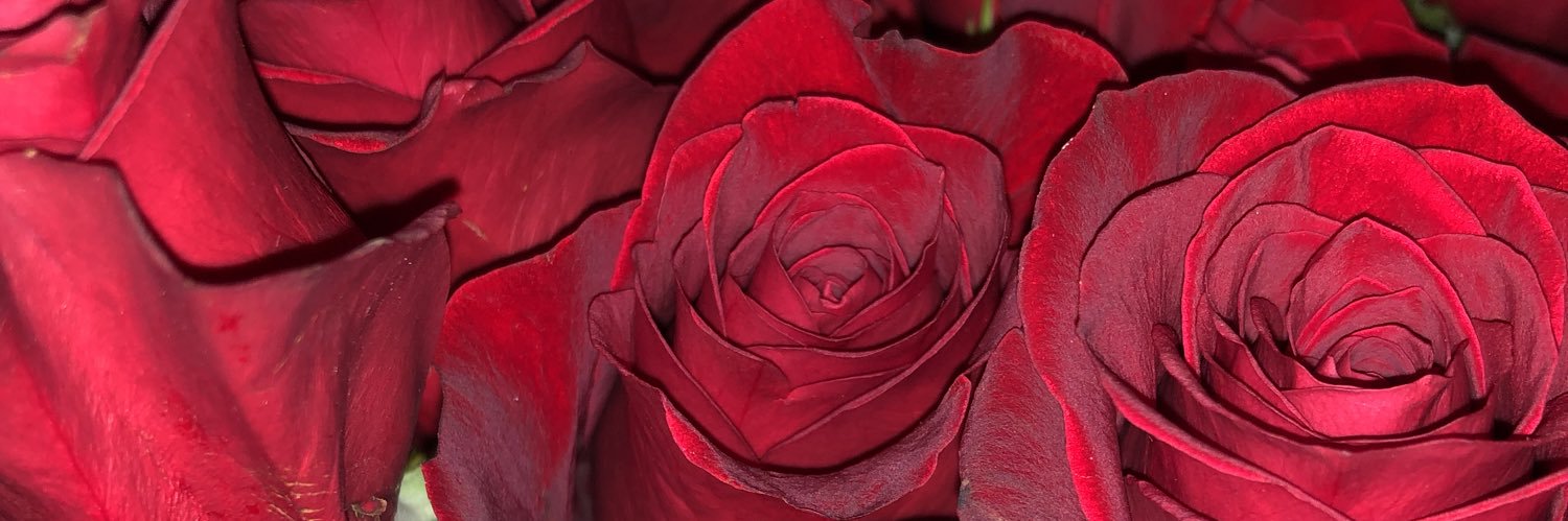 Blardenoit's profile banner image