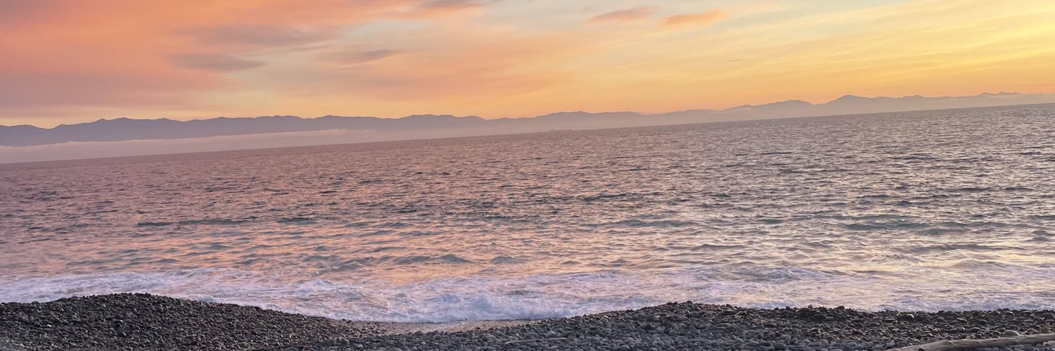charminbrandt's profile banner image