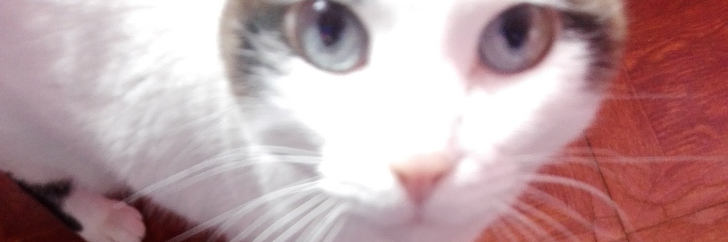 Dismalrose's profile banner image