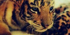 mapajiimenez's profile banner image