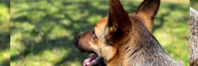 KarenMichellod1's profile banner image