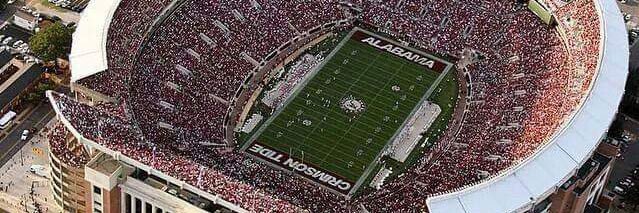 Ricky Ritchie🐘 banner