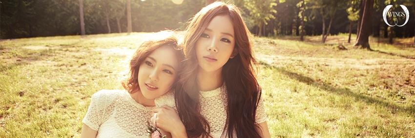 WINGS (윙스) banner