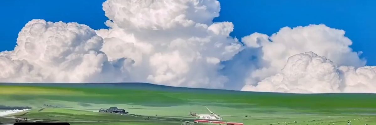 zyzzist's profile banner image