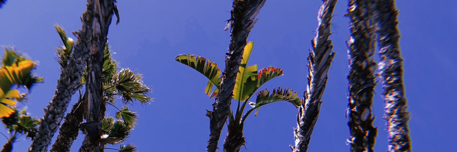 kiarra1010's profile banner image