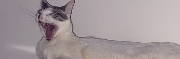 lorrahl4is's profile banner image